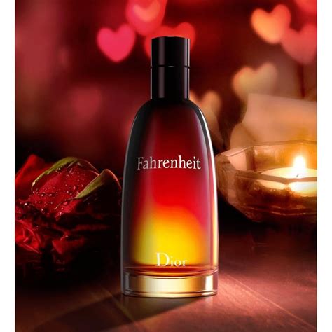 dior fahrenheit edt 100 ml erkek parfümü|dior fahrenheit man.